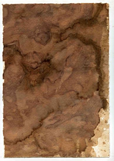 Barbera East 2009, 10.75"x7.5" (cm. 27.5x18.5)