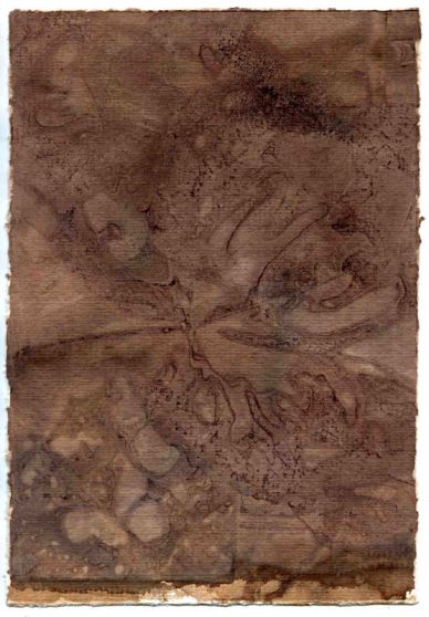 Barbera North 2009, 10.75"x7.5" (cm. 27.5x18.5)