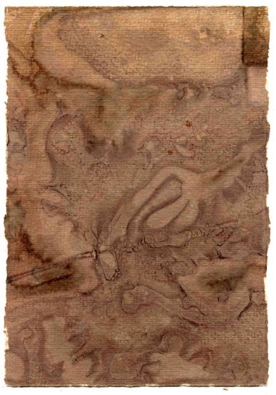 Barbera North East 2009, 10.75"x7.5" (cm. 27.5x18.5)