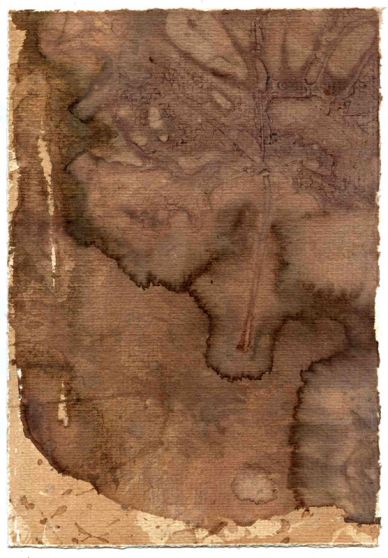 Barbera South 2009, 10.75"x7.5" (cm. 27.5x18.5)