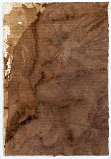 Barbera West 2009, 10.75"x7.5" (cm. 27.5x18.5)